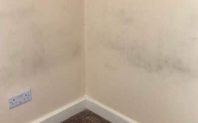 Mould Issues In A Rented Property