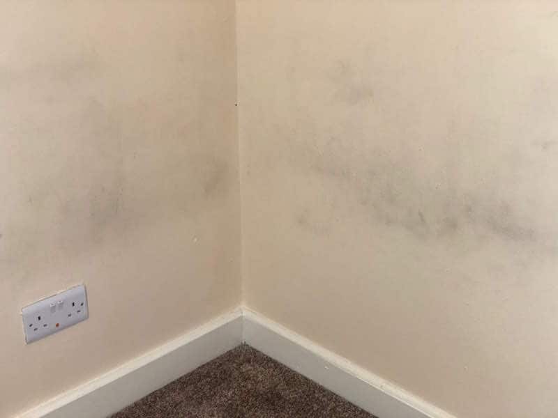 Black mould on walls in rented house
